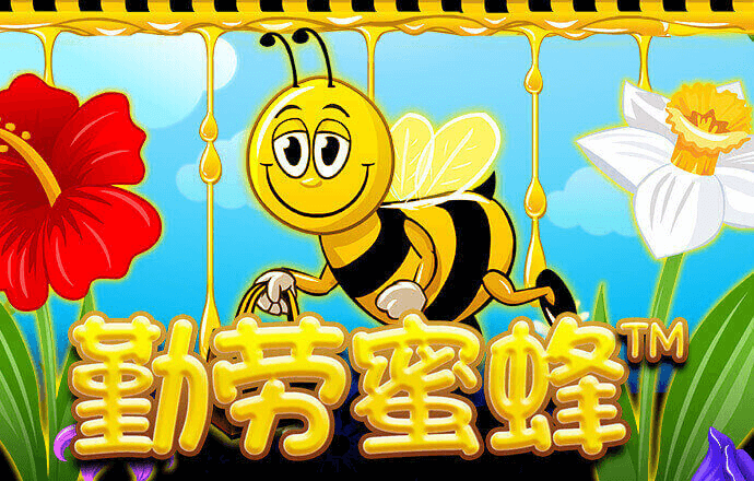bob手机官网登录入口